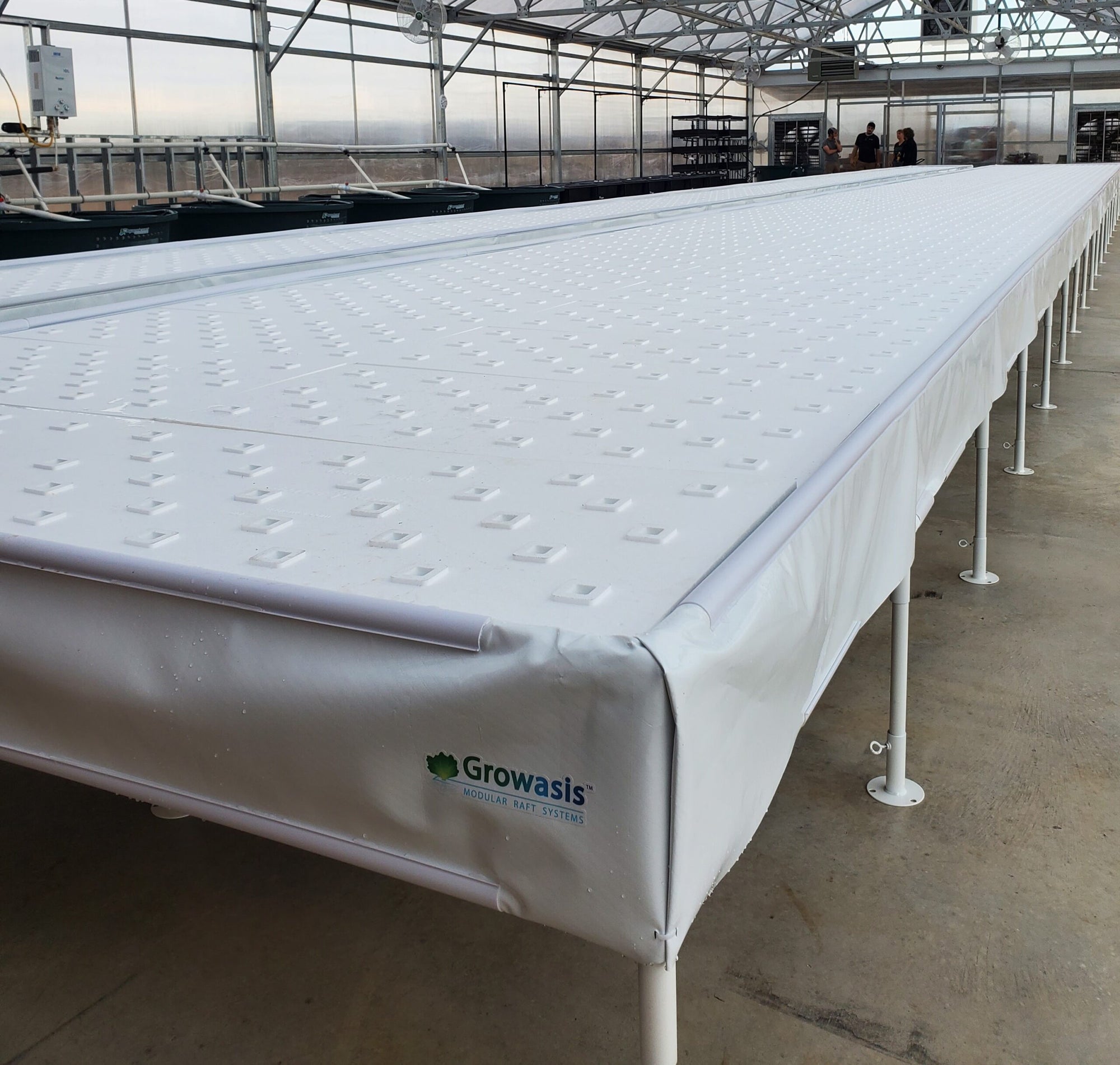 Hydroponic tables with drip caps set up inside a greenhouse for a controlled environment agriculture system, featuring Snap Clamps for Duraskrim Liner by Aquaponics For Life.