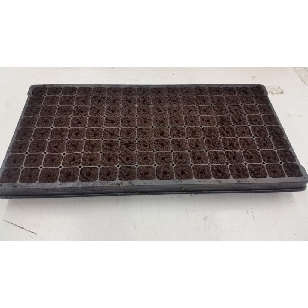 Pack of 3 128-Plug Seedling Trays - Aquaponics For Life