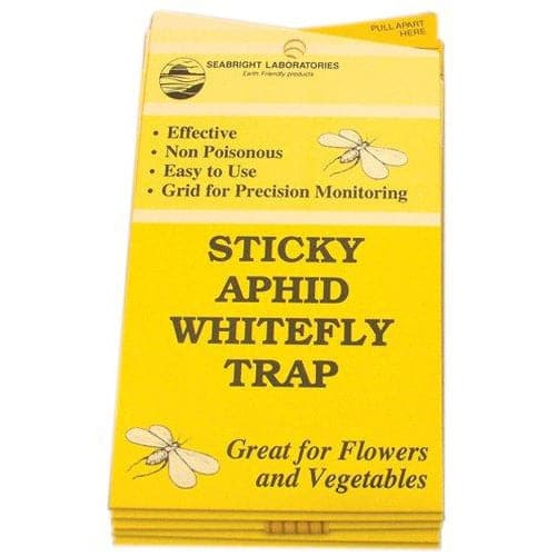Yellow Sticky Traps for Aphids and Whitefly – 5 Pack - Aquaponics For Life