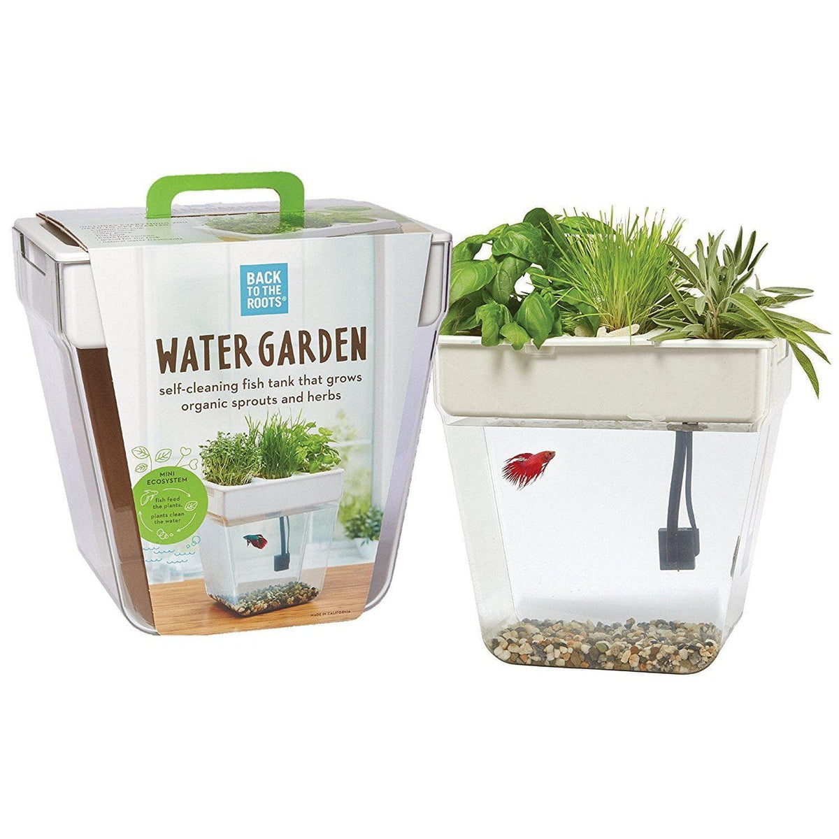 Back to the Roots Water Garden, Mini Aquaponic Ecosystem - Aquaponics For Life