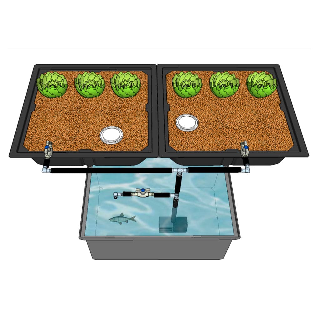 An illustration of a TAS AquaParts S2 Aquaponics Plumbing Kit with plants in it.