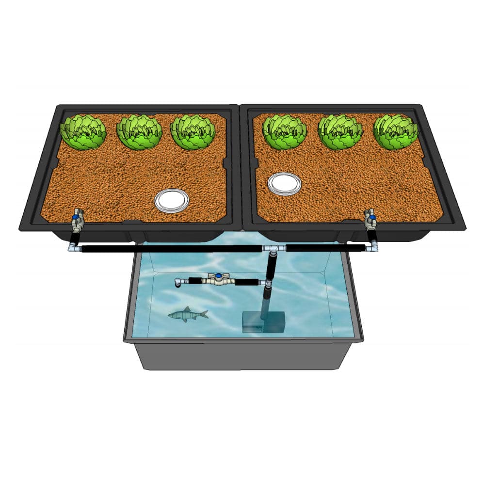 An illustration of a pond with plants in it, showcasing an AquaParts T2 Aquaponics Plumbing Kit by TAS.