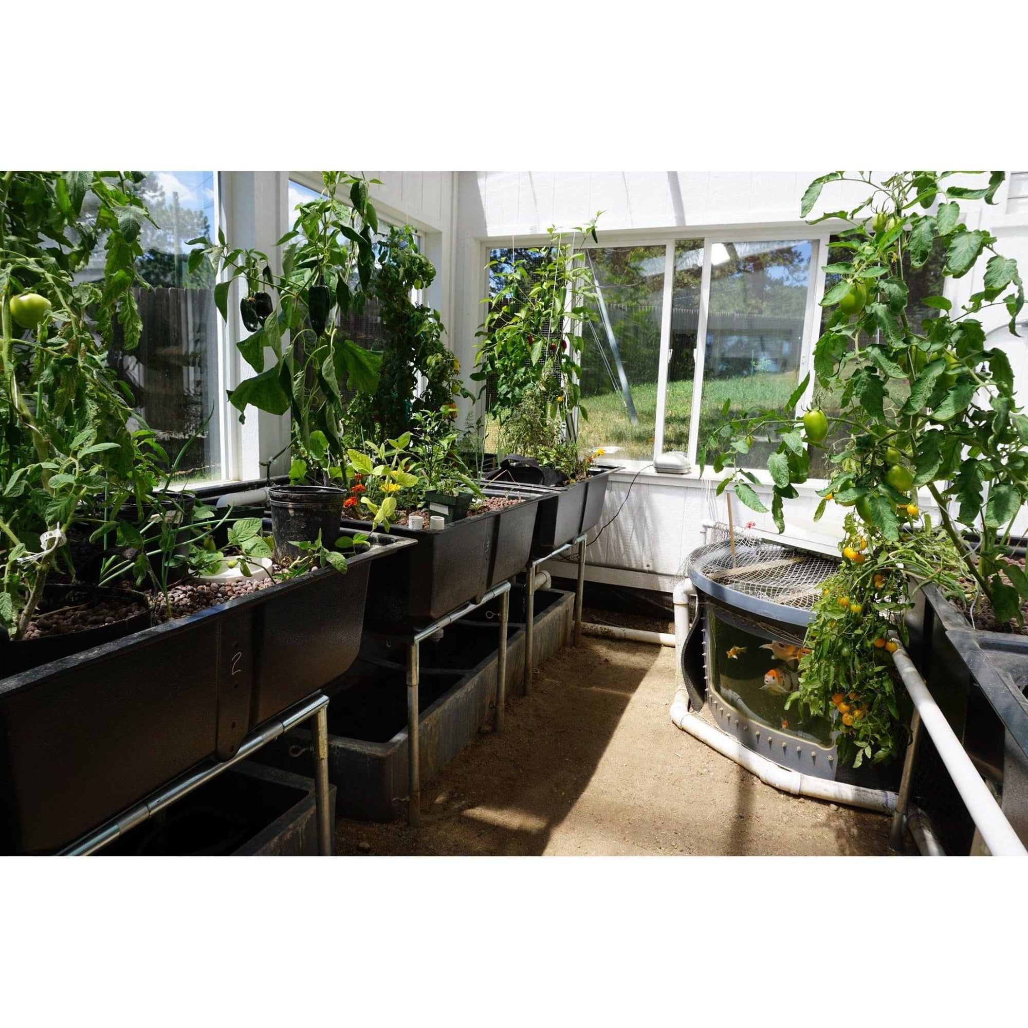 Fish Tank Window Kit Go Green Aquaponics