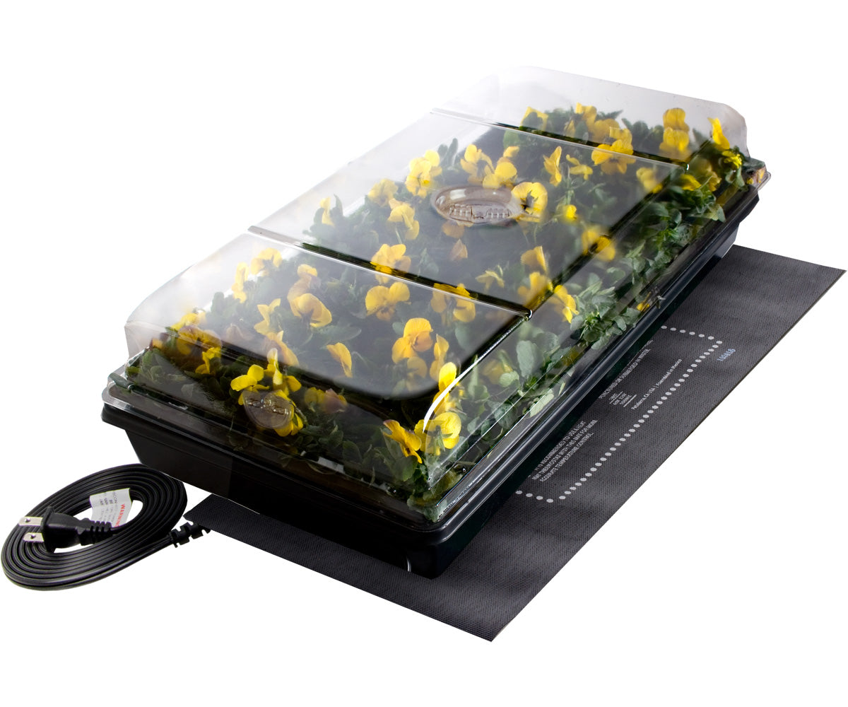 A TAS Germination Station with Heat Mat, 72-Cell Pack, and 2″ Dome filled with yellow flowers on top of a black mat, perfect for indoor gardening and seed starting.