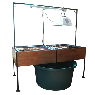A compact aquaponics system for food production, featuring a grow bed with two pots on top called The Harmony Aquaponic System by TAS.