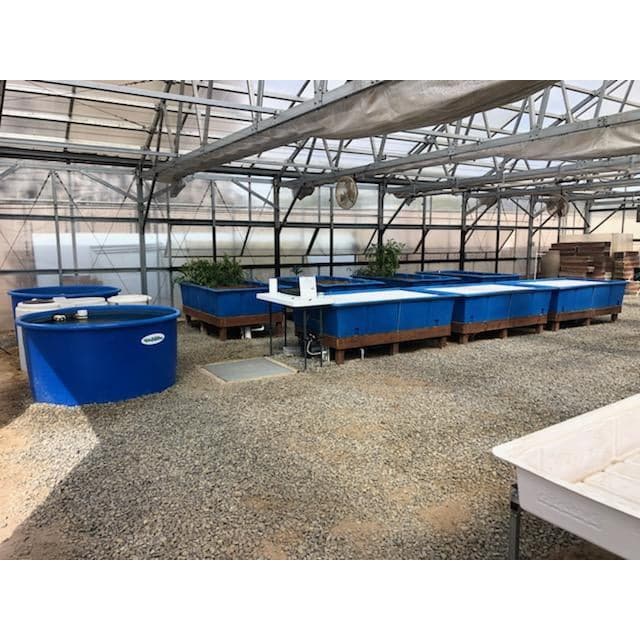 Located on a sprawling property, Go Green Aquaponics offers an awe-inspiring Escondido Aquaponics System Tour. With numerous blue containers scattered throughout, it provides a mesmerizing sight for visitors taking the tour.