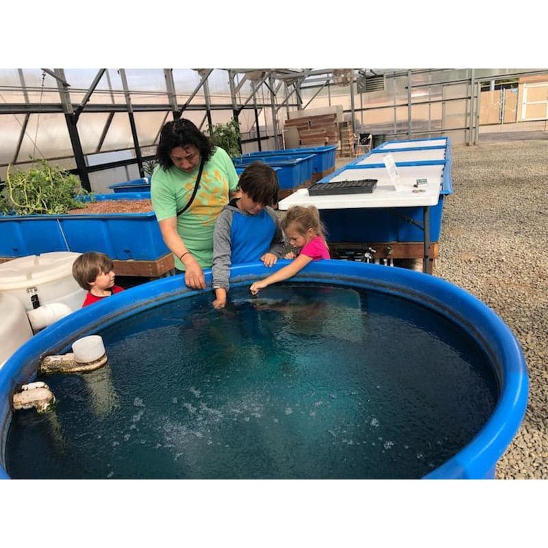 A group of children are playing in a blue pool during the Go Green Aquaponics System Tour.