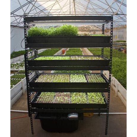 hydroponic plant nursery Growasis 4-Tier Nursery & Microgreen System