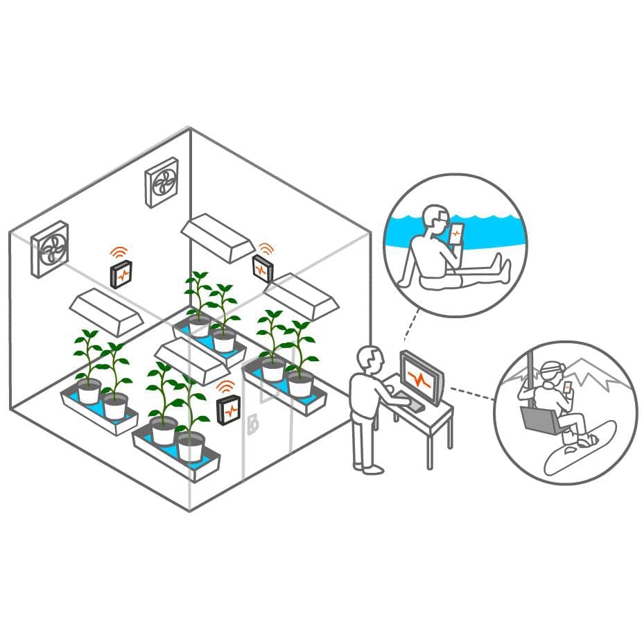 An illustration of a room with plants and a person working on a laptop, while TAS&#39;s Pulse One WiFi Connected Environmental Monitor Sensors gather data on the pulse and environmental conditions.