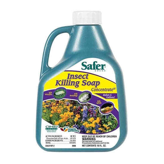 organic insecticidal soap is made with Safer Insect Killing Soap Concentrate II