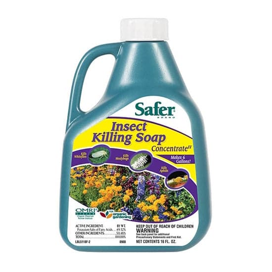 Safer Insect Killing Soap Concentrate II