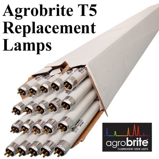 AgroBrite T5 Bulbs – 4 ft, case of 20 - Aquaponics For Life