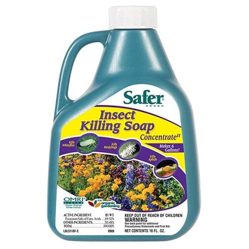 Safer Insect Killing Soap Concentrate II – 16 oz - Aquaponics For Life
